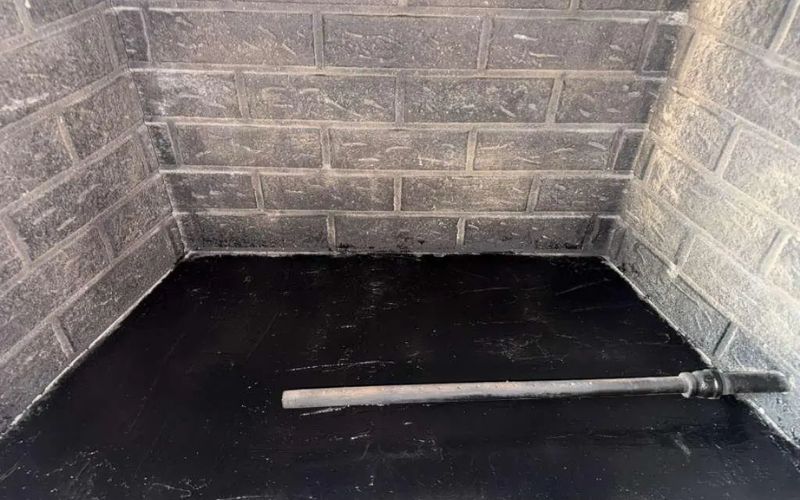 raccoon removal chimney Austin Texas